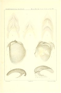 n176_w1150