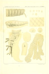 n206_w1150