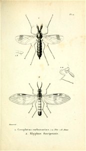 n248_w1150