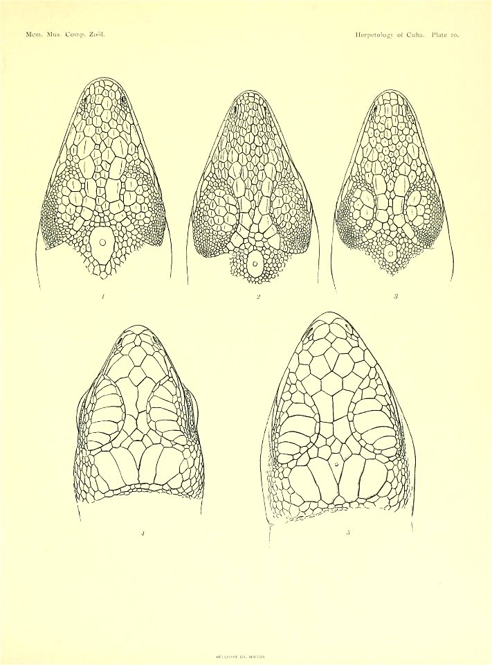 n192_w1150