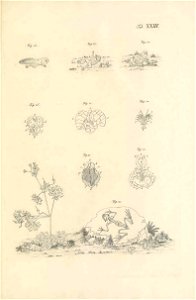 n214_w1150
