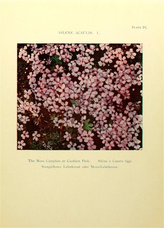 n68_w1150