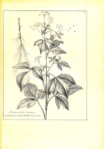 n92_w1150