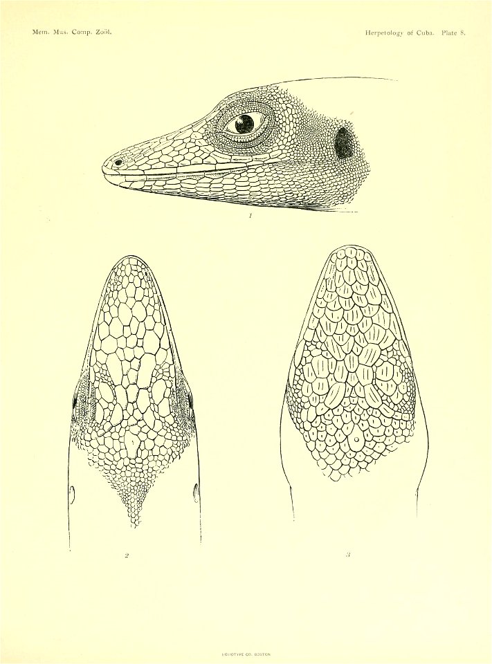 n184_w1150
