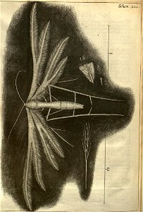 n256_w1150