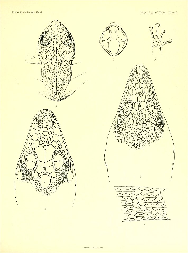 n176_w1150