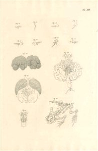 n190_w1150