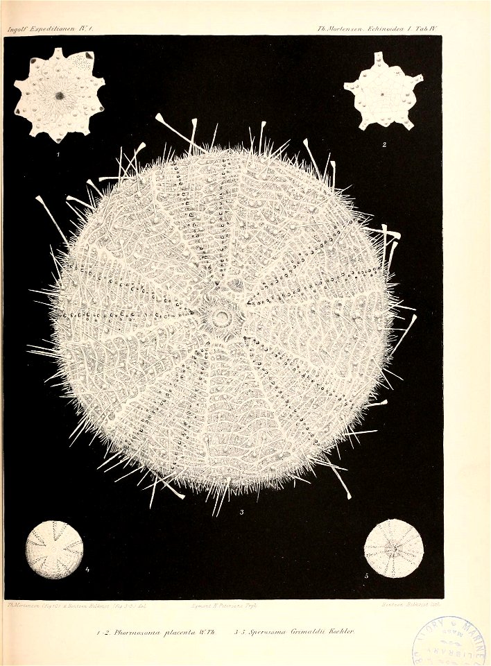 n216_w1150