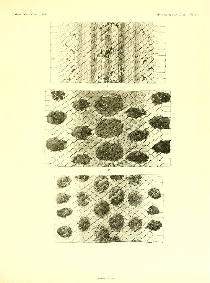 n172_w1150