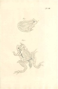 n126_w1150