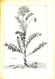 n294_w1150