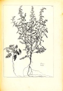 n174_w1150