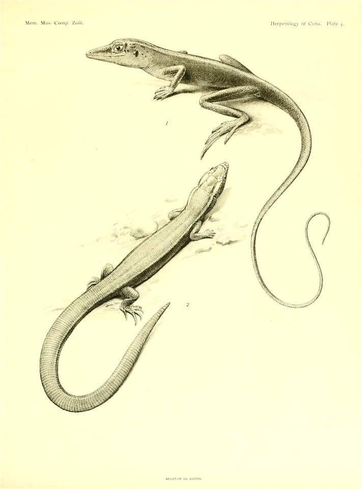 n168_w1150