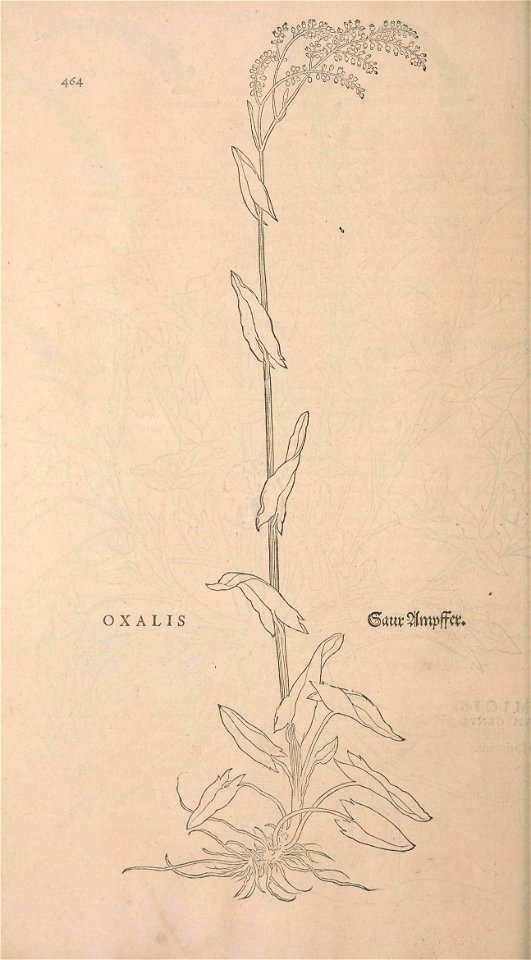 n497_w1150
