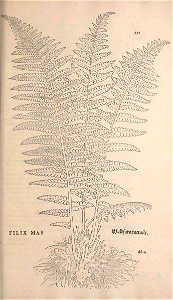 n628_w1150