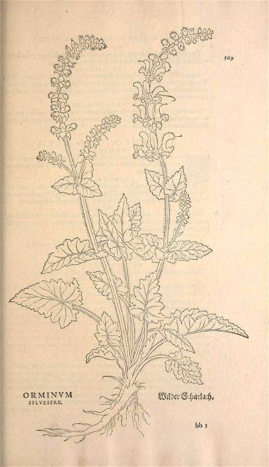 n602_w1150