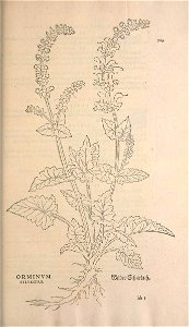 n602_w1150