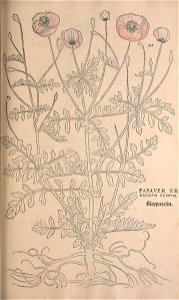 n548_w1150