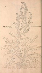 n495_w1150