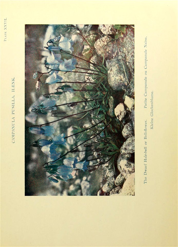 n142_w1150