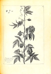 n158_w1150