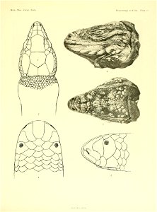n196_w1150