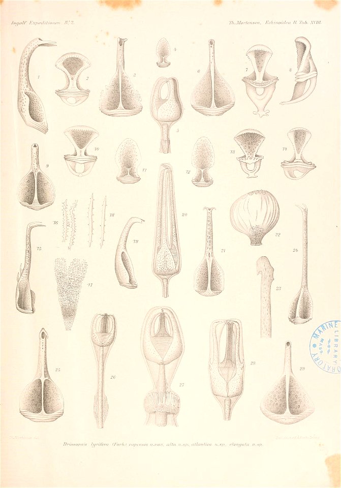 n278_w1150