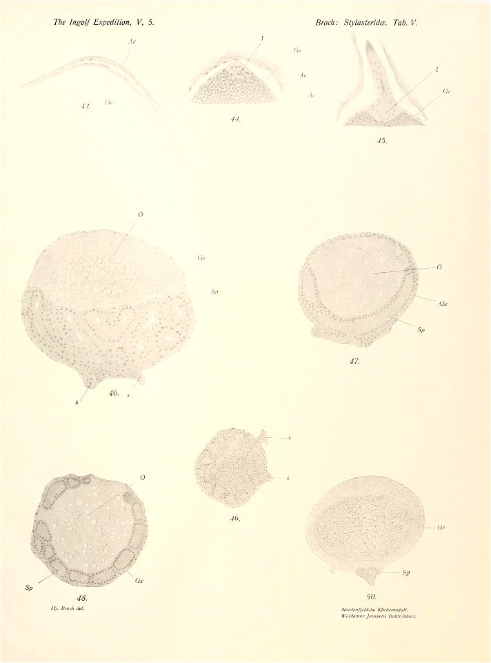 n54_w1150