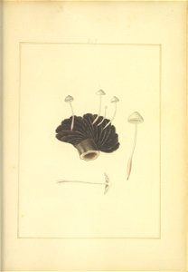 n144_w1150