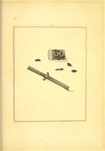 n84_w1150