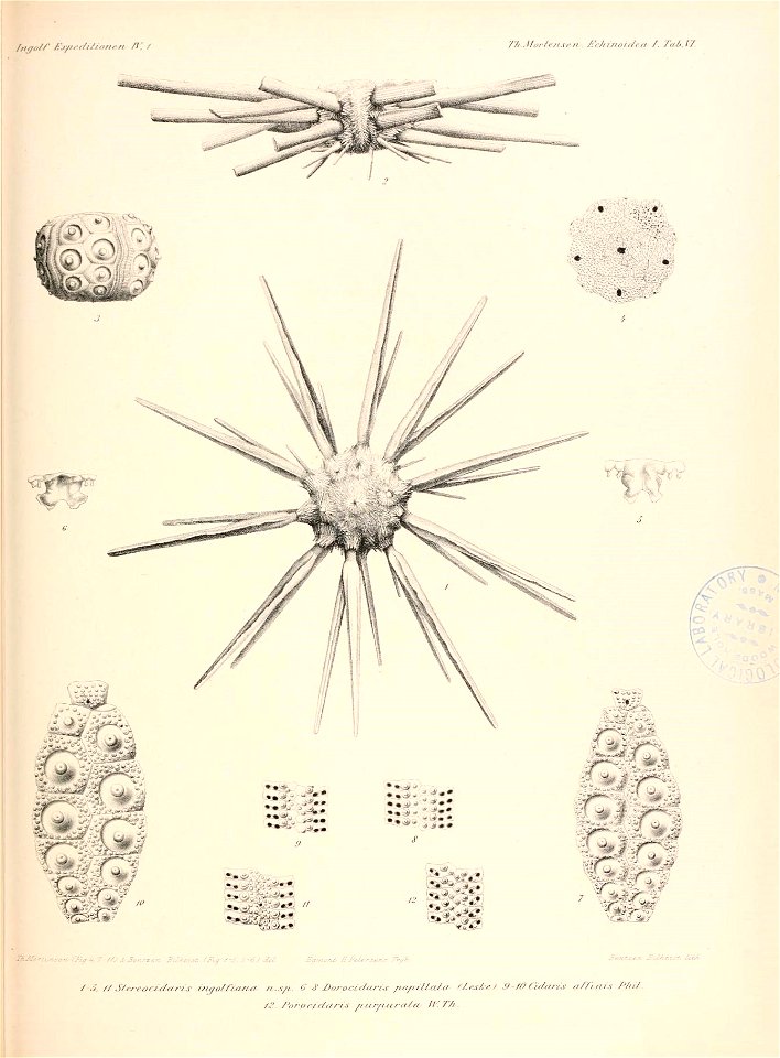 n224_w1150
