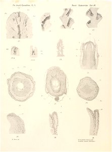 n46_w1150