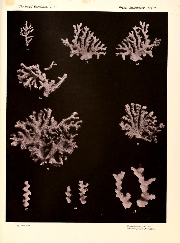 n42_w1150
