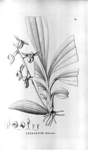 n433_w1150