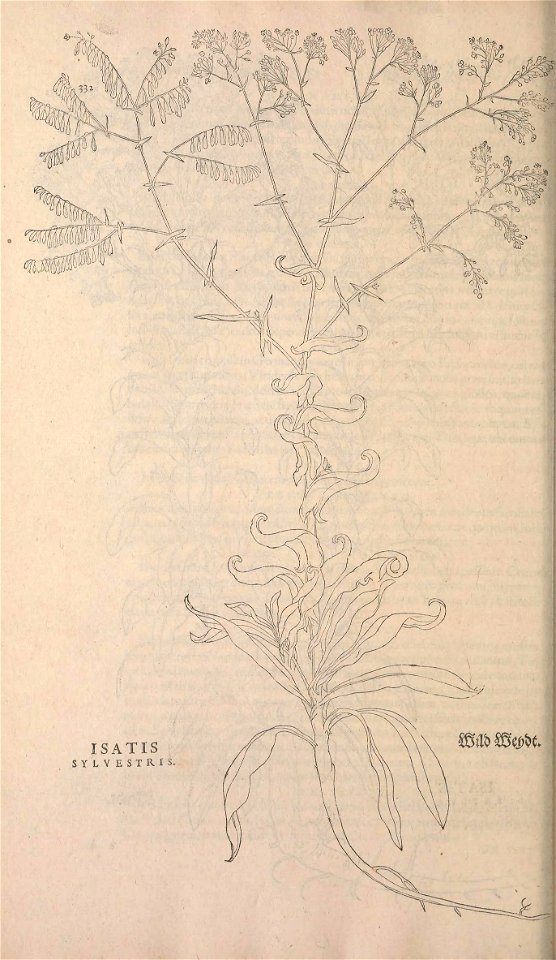 n365_w1150