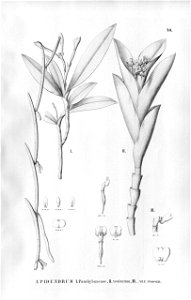 n139_w1150