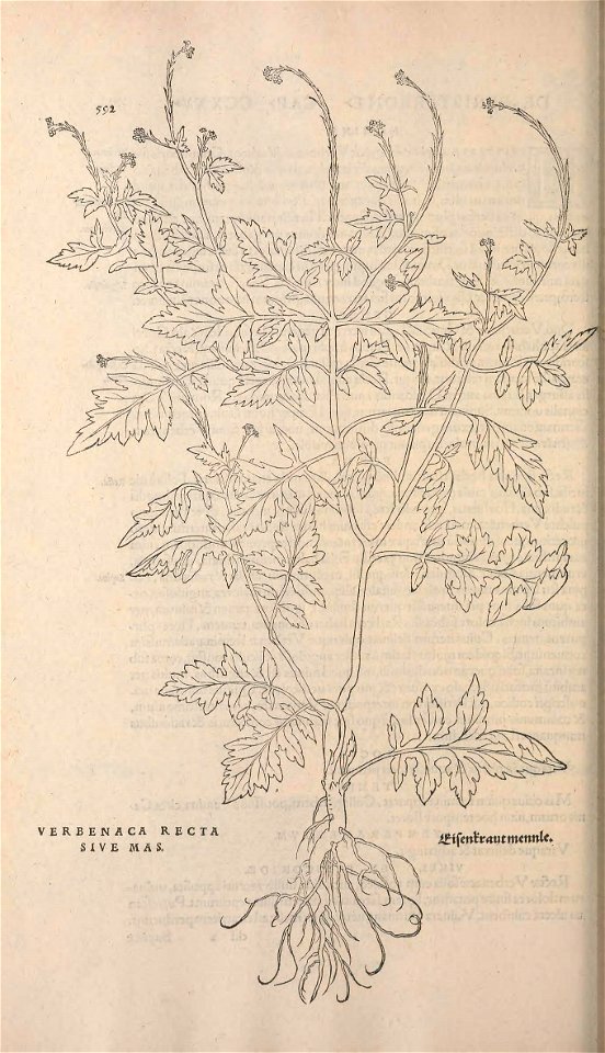 n625_w1150
