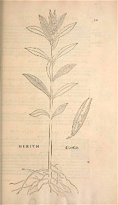 n574_w1150