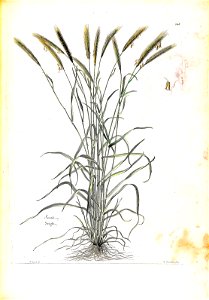 n95_w1150