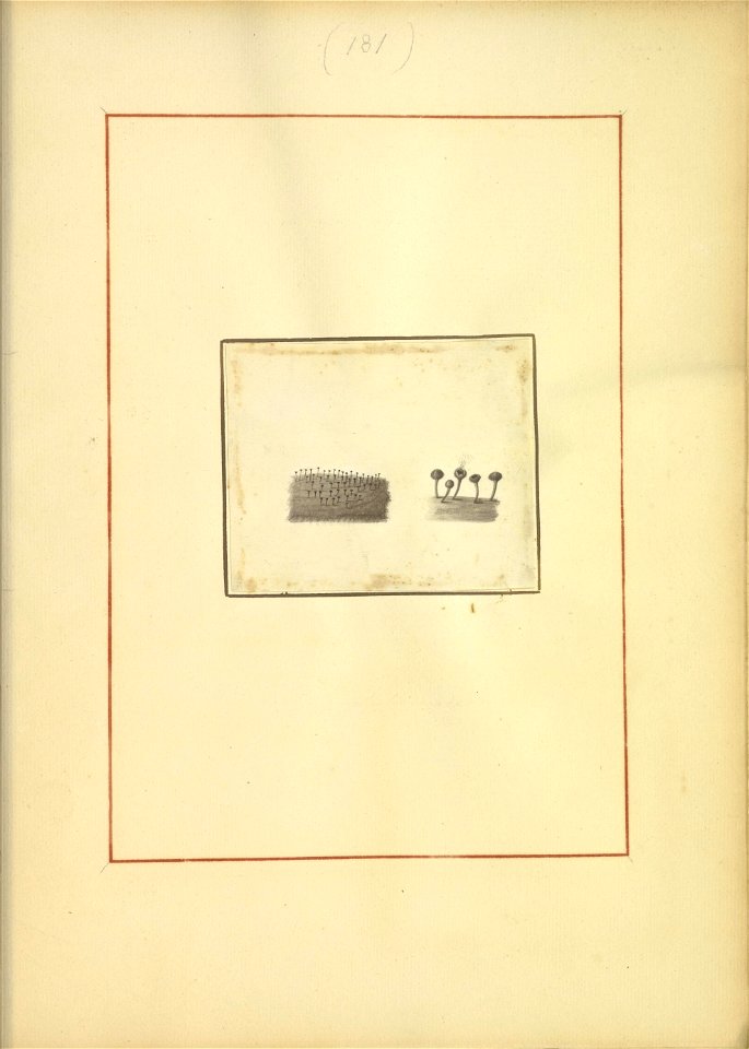 n206_w1150