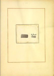 n206_w1150