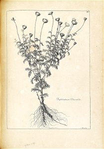 n184_w1150