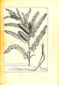 n154_w1150