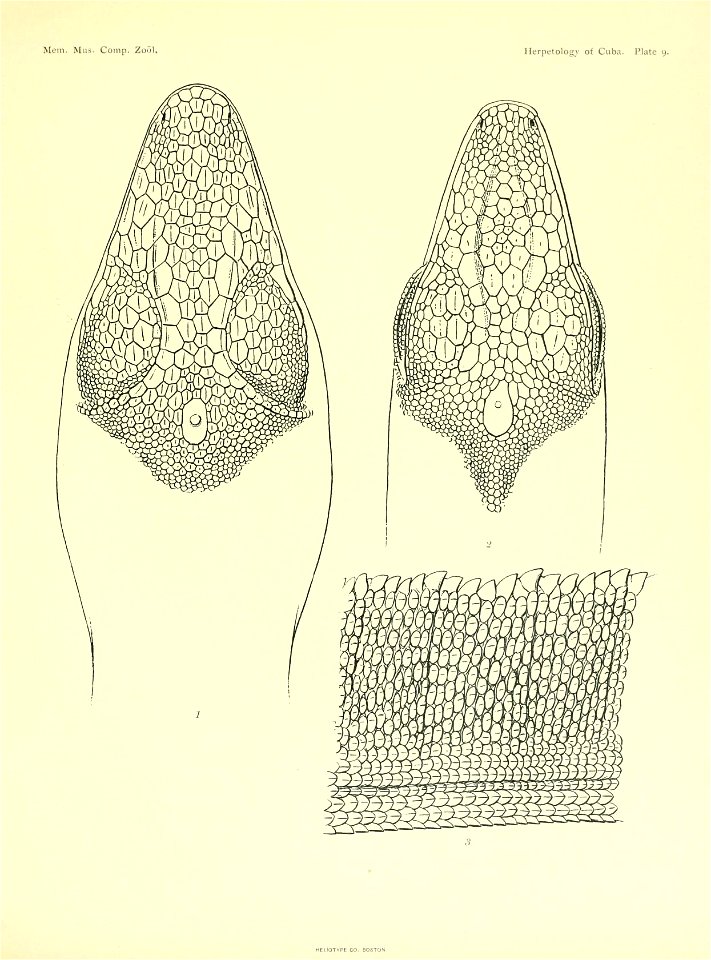 n188_w1150
