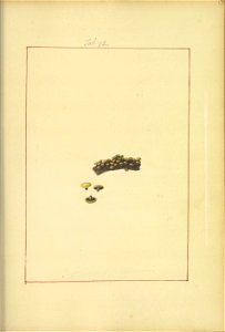 n124_w1150