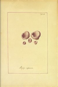 n178_w1150