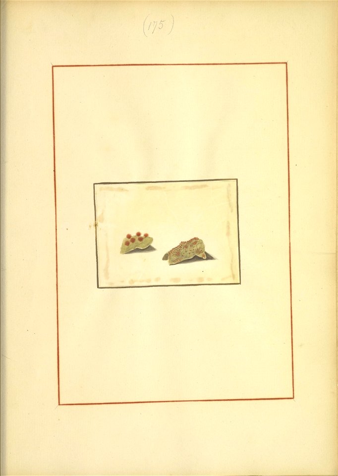 n182_w1150