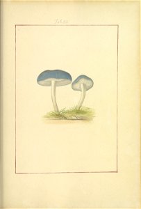 n56_w1150