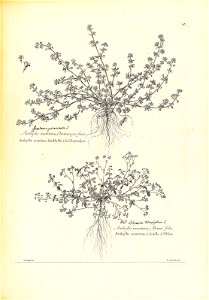 n112_w1150