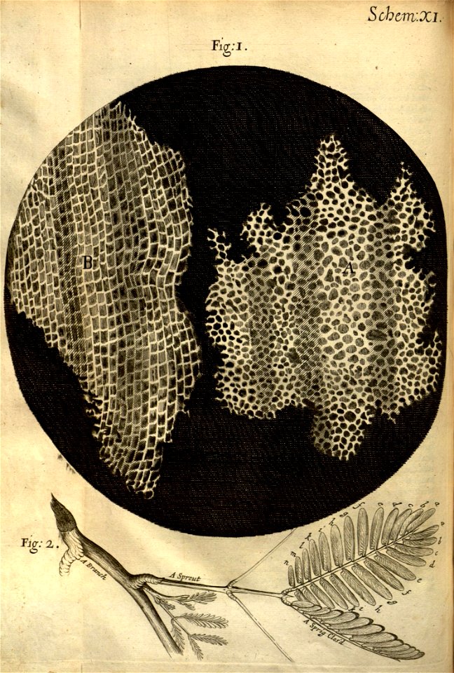 n157_w1150